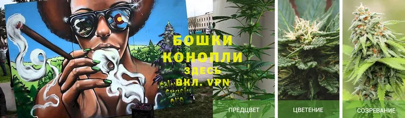 Каннабис Ganja  Пугачёв 